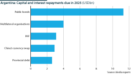 Argentina: 2025 public debt capital and interest repayments (USDbn)