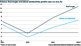 Belarus: Real wages and labour productivity growth (%)