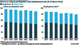 The chart shows Morocco's labour participation rate