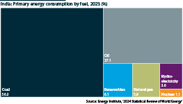 Chart showing primary energy consumption by fuel in 2023