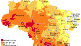 Brazil: Drought intensity at municipality level, August 2024