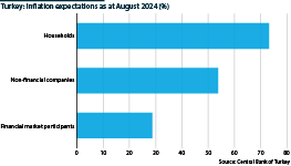 Inflation expectations in Turkey as of August 2024