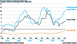 Growth in credit issued to domestic residents from domestic monetary financial institutions between 2019 and 2024