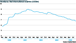 Delays in securing external financing from official and commercial creditors have reduced supply of foreign currency.