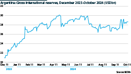 Argentina: Gross international reserves, December 2023-October 2024 (USDbn)