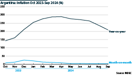 Argentina: Inflation 2023-24 (month-on-month and year-on-year, %)