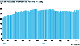 Argentina: International reserves, December 2023-October 2024 (USDbn)