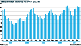 Turkey’s foreign exchange reserves (minus gold) since 2020