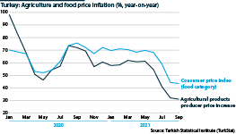 Annual agriculture and food price inflation in Turkey