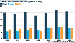 Output of selected cereals in Turkey, 2018 to 2024