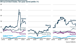 Yields on ten-year bonds in the United States versus selected African countries.