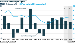 Iran's GDP and GDP per capita, year-on-year change (%)