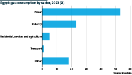 The chart shows Egypt's gas consumption by sector for 2023